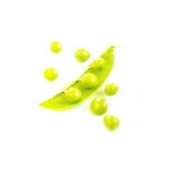Fresh Green Peas Manufacturer Supplier Wholesale Exporter Importer Buyer Trader Retailer in Amritsar Punjab India